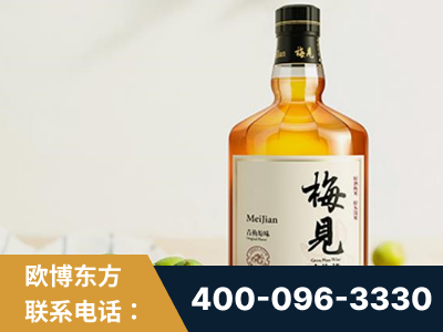 齐齐哈尔-梅见青梅酒